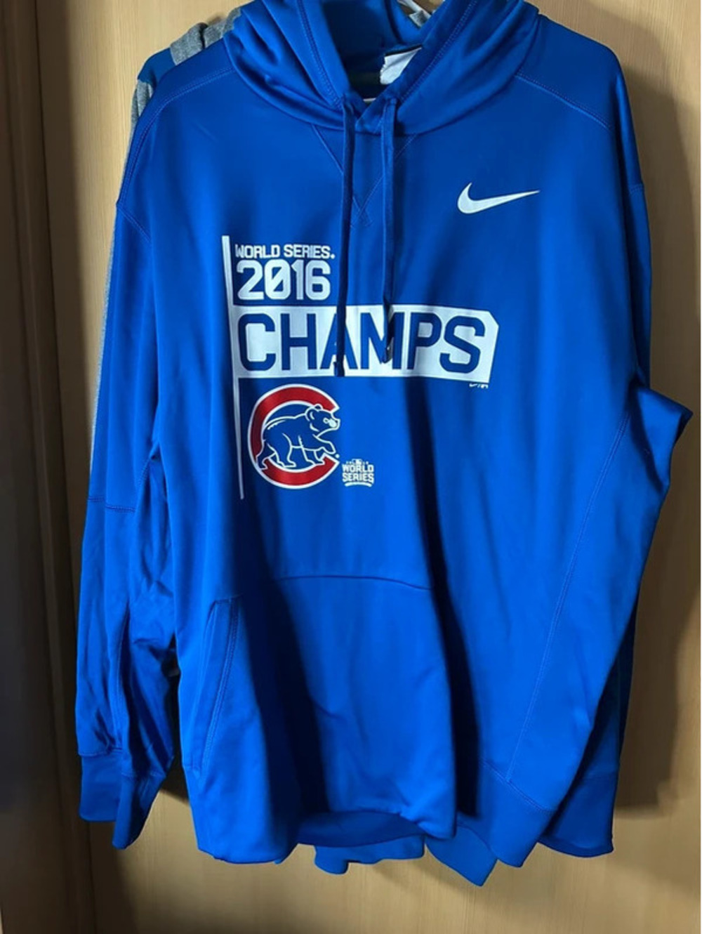 Chicago cubs hoodie